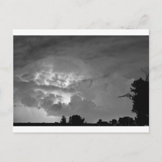 Light Show Black and White Postcard
