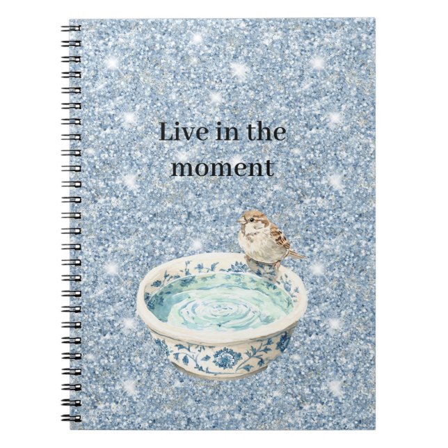 Light Sky Blue Glitter Bird Bath Notebook (Front)
