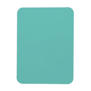 Light Teal #6BC388, Half Baked Magnet
