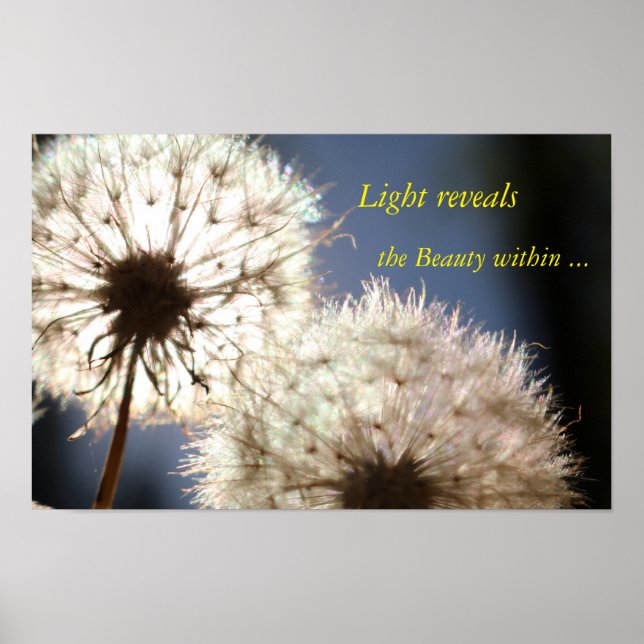 Light Thoughts Poster (Front)