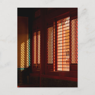 Light Through Mesh Window openings Postcard
