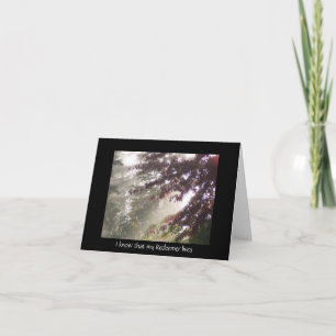 Light through plum tree sympathy card