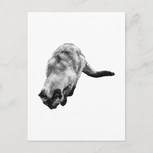 Light Whisper, Happy Note Postcard