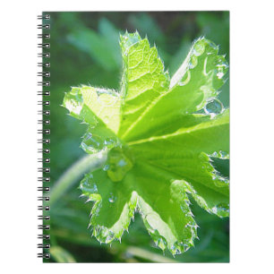Light with water drop notebook