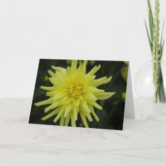 Light Yellow Flower Card