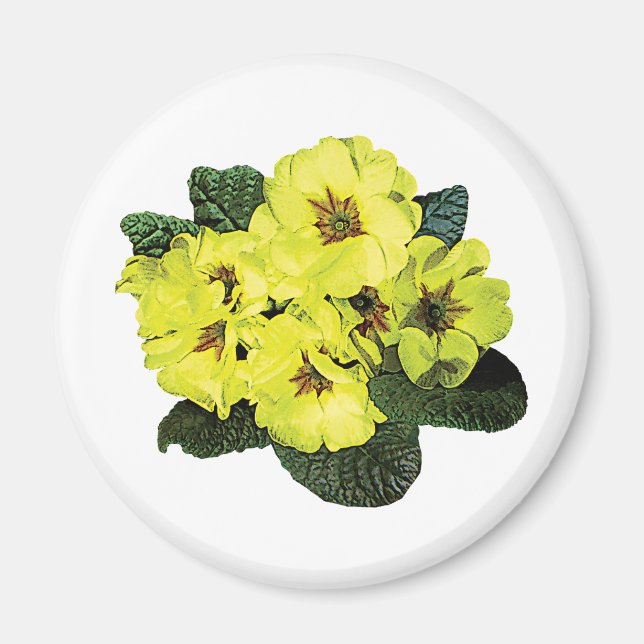 Light Yellow Primroses Magnet (Front)