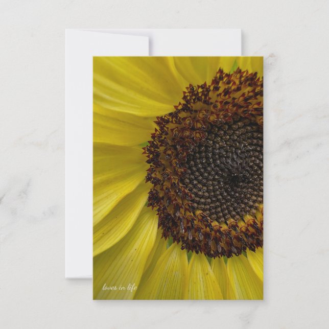 Light Yellow Sunflower Up-close Card (Front)