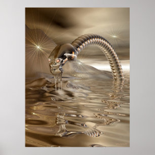 Lightcatcher Poster