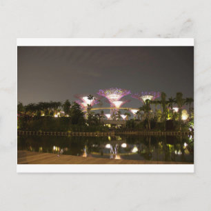 Lighted super trees at Gardens by the Bay Postcard