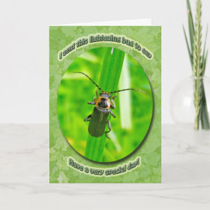 Lightening Bug Birthday Card