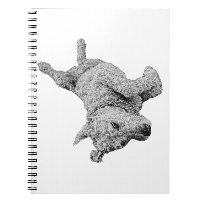 Lighthearted Lines Notebook (Front)