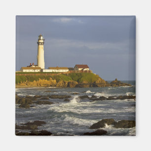 Lighthouse at Pigeon Point State Beach in San 2 Magnet