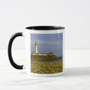 Lighthouse at Pigeon Point State Beach in San Mug