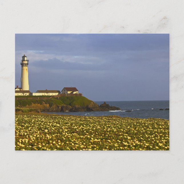 Lighthouse at Pigeon Point State Beach in San Postcard (Front)