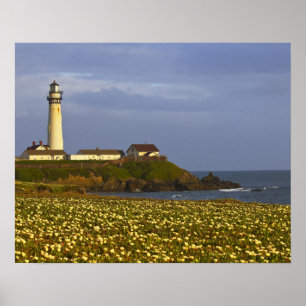 Lighthouse at Pigeon Point State Beach in San Poster
