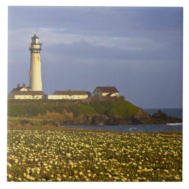 Lighthouse at Pigeon Point State Beach in San Tile (Front)