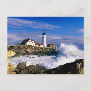 Lighthouse Beauty Postcard