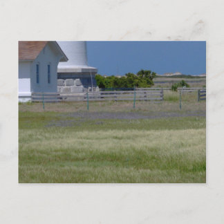 Lighthouse field of flowers postcard