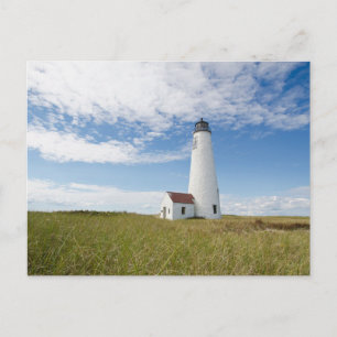 Lighthouses Lighthouse Massachusetts Postcard