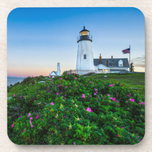 Lighthouses Point Lighthouse Bristol Maine Coaster