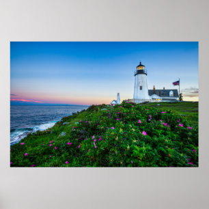 Lighthouses   Point Lighthouse Bristol  Maine Poster