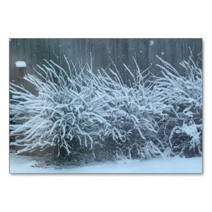 Lightly, adverb, on snow themed reading flashcards table number
