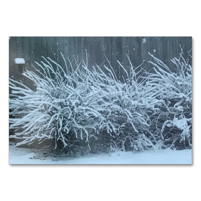 Lightly, adverb, on snow themed reading flashcards table number (Front)
