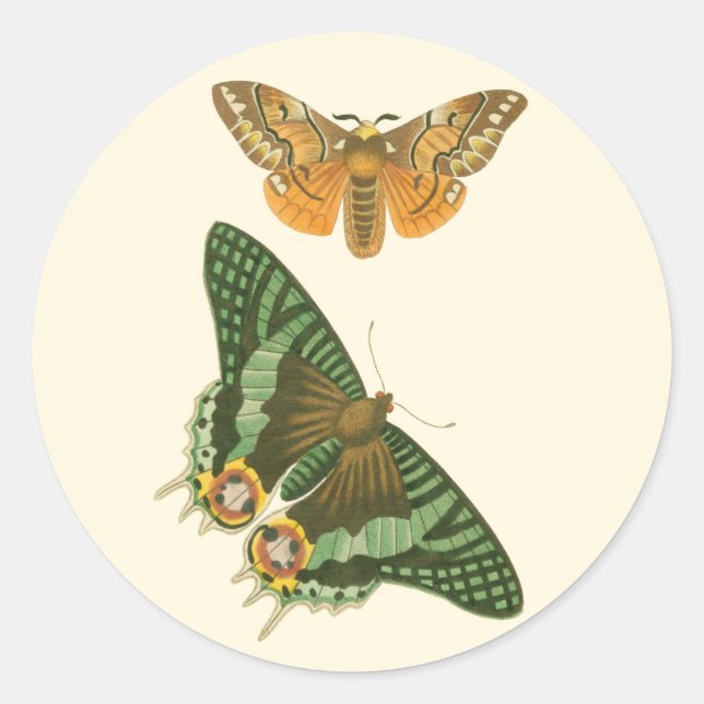 Lightly Bordered Butterfly Painting Classic Round Sticker (Front)