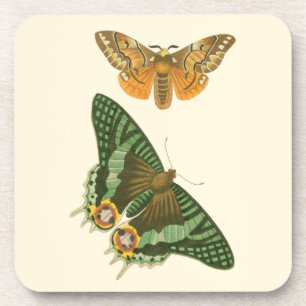 Lightly Bordered Butterfly Painting Coaster