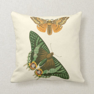 Lightly Bordered Butterfly Painting Cushion