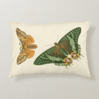 Lightly Bordered Butterfly Painting