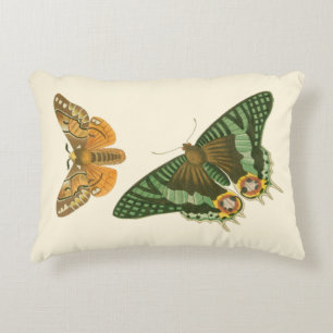 Lightly Bordered Butterfly Painting Decorative Cushion
