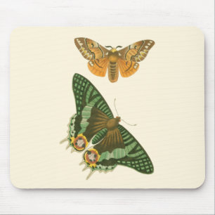 Lightly Bordered Butterfly Painting Mouse Pad