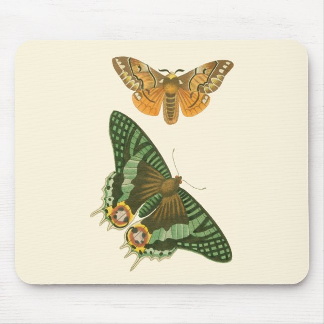 Lightly Bordered Butterfly Painting Mouse Pad (Front)