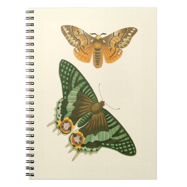 Lightly Bordered Butterfly Painting Notebook (Front)