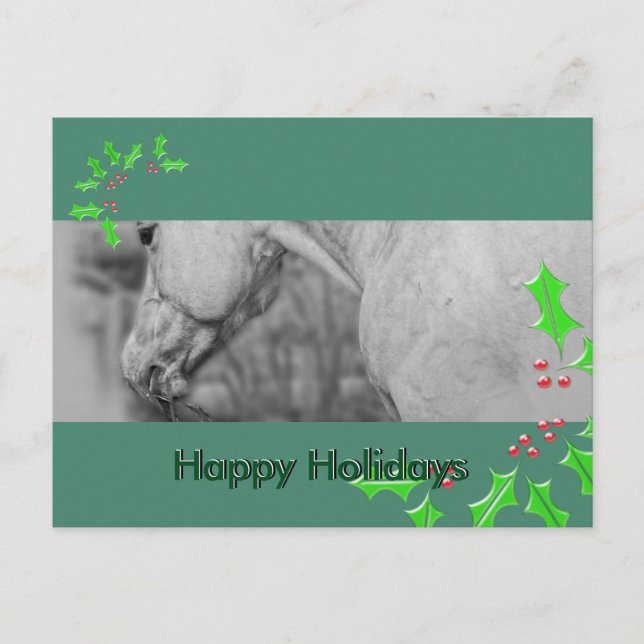 Lightly Dun Dapples (Christmas) Holiday Postcard (Front)