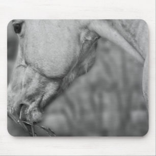Lightly Dun Dapples - Mousepad