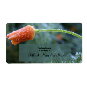 Lightly Frosted California Poppy Book