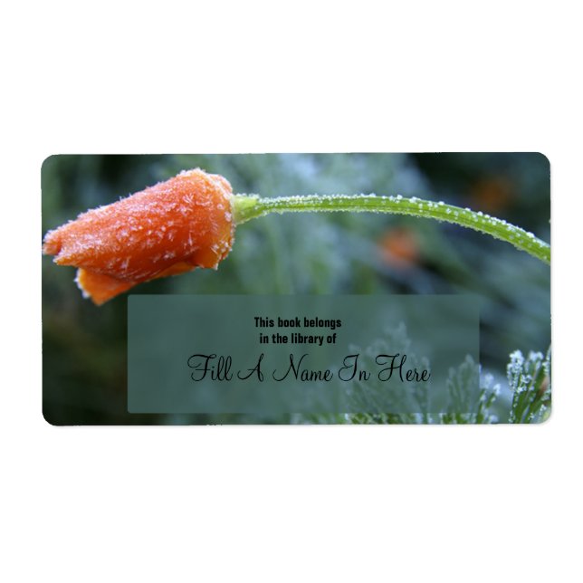 Lightly Frosted California Poppy Book (Front)