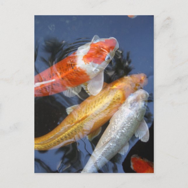 lightner's 042 postcard (Front)