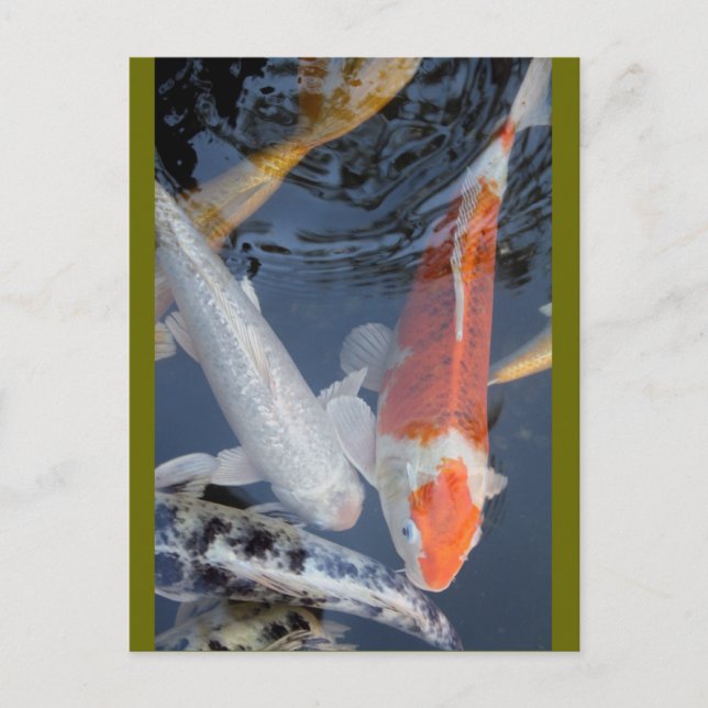 lightner&apos;s 043 postcard (Front)