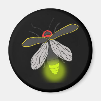 lightning bug flight lit magnet