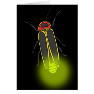 lightning bug lit