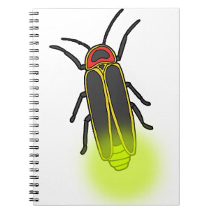 lightning bug lit notebook