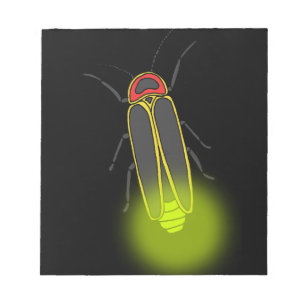 lightning bug lit notepad