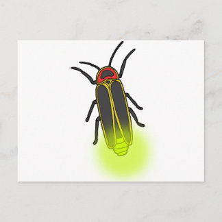 lightning bug lit postcard