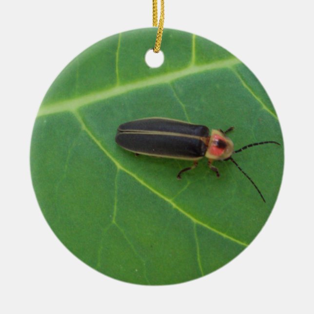 Lightning Bug on Leaf Ceramic Tree Decoration (Front)