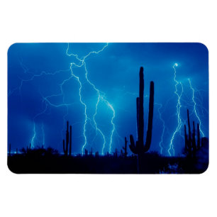 Lightning Southwest Magnet