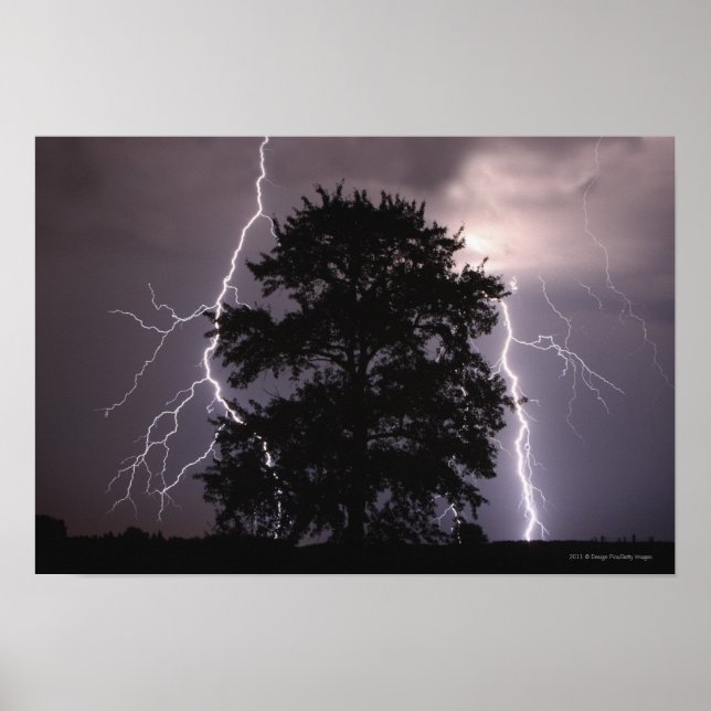 Lightning Strikes In The Sky Behind A Tree Poster (Front)