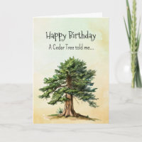 Like a Cedar Tree Spirit Birthday Personalities